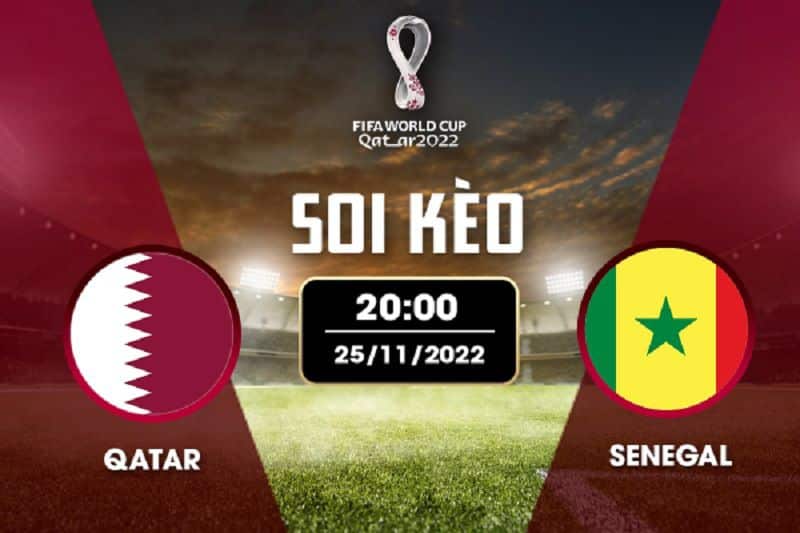 Soi kèo Qatar vs Senegal nhận định trận đấu ngày 25/11/2022